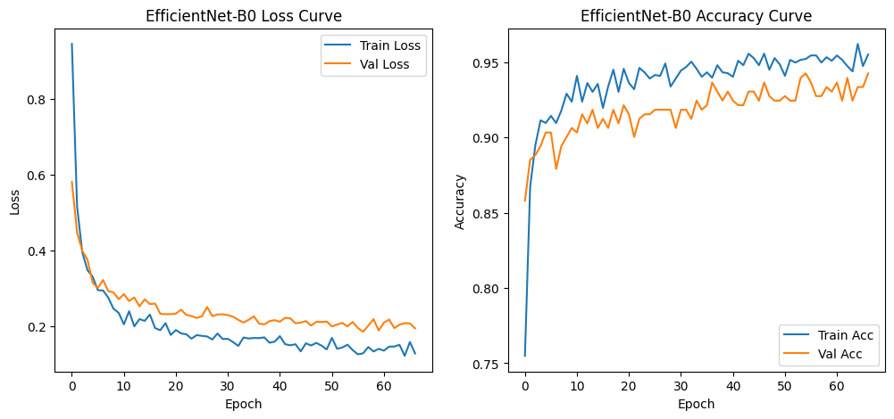EfficientNet-B0 Loss & Accuracy Curves